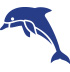 dolphin watching sneads fery nc